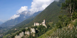 Pohled na hrad Tirol a okolní vinice