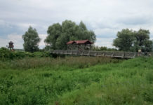 Starý most u Andau