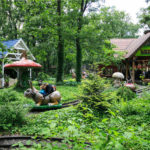 Jízda na lesních zvířátkách ve Familyparku Neusiedlersee