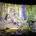 Expozice v Nationalpark-Zentrum Königsstuhl v parku Jasmund