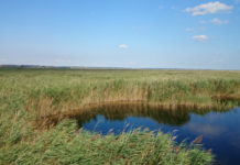 Národní park Neusiedler See - Seewinkel