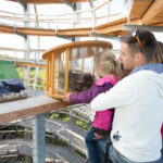 Naturerbe Zentrum Rügen - vyhlídková věž Orlí hnízdo