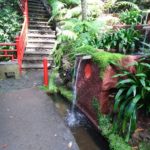 Jardim tropical Monte Palace - orientální zahrada