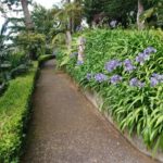 Jardim tropical Monte Palace