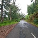 Cesta do Ponta do Pargo po silnici ER101