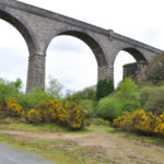 Mineral Tramway Cycle Trail