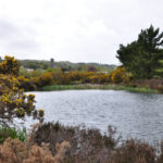 Mineral Tramway Cycle Trail