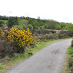 Mineral Tramway Cycle Trail