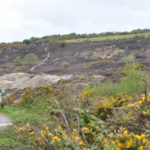 Mineral Tramway Cycle Trail