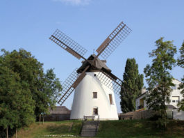 Okolo Podersdorfu Větrný mlýn v Podersdorfu