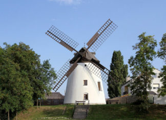 Okolo Podersdorfu Větrný mlýn v Podersdorfu