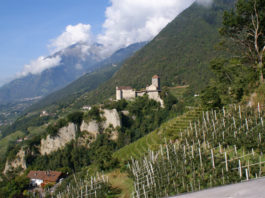 Pohled na hrad Tirol a okolní vinice