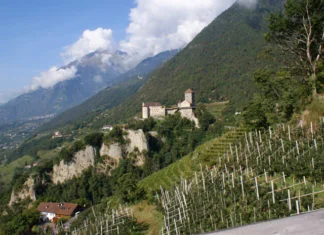 Pohled na hrad Tirol a okolní vinice