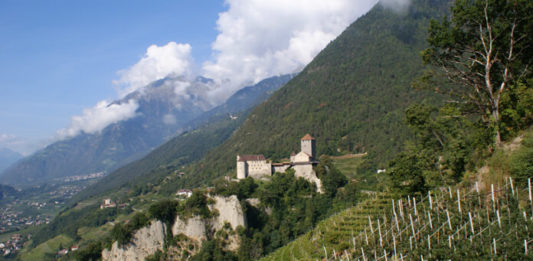 Pohled na hrad Tirol a okolní vinice