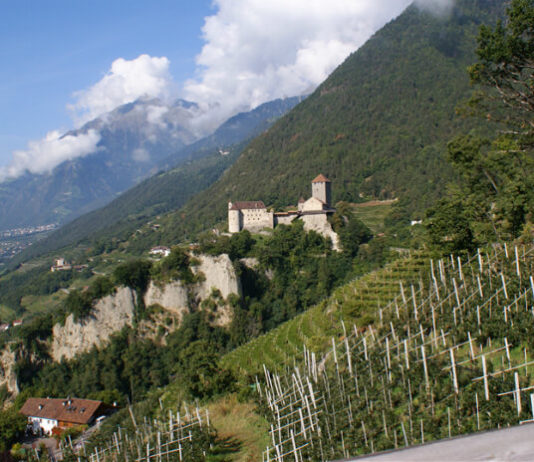 Pohled na hrad Tirol a okolní vinice