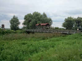 Most u Andau Starý most u Andau