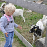 Wagraini's Grafenberg - dětská farma