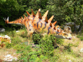 Dinopark Funtana Dinopark Funtana