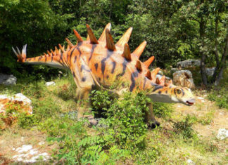 Dinopark Funtana Dinopark Funtana