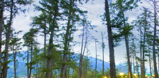 Minigolf park Naturno – zahrajte si na hřišti šampionů Minigolf Naturno