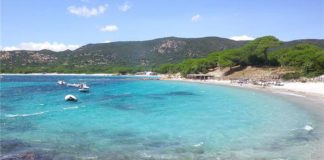 Palombaggia – nejkrásnější pláž Korsiky Pláž Palombaggia