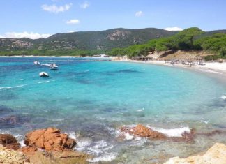 Palombaggia – nejkrásnější pláž Korsiky Pláž Palombaggia