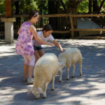 Zvířecí minifarma ve Familyparku Neusiedlersee