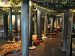 Návštěvnické centrum v přírodním parku Jasmund Expozice v Nationalpark-Zentrum Königsstuhl v přírodním parku Jasmund