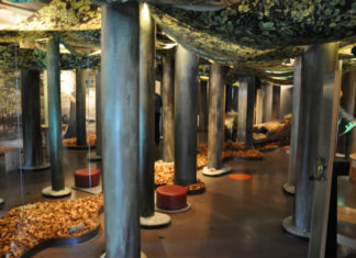 Návštěvnické centrum v přírodním parku Jasmund Expozice v Nationalpark-Zentrum Königsstuhl v přírodním parku Jasmund