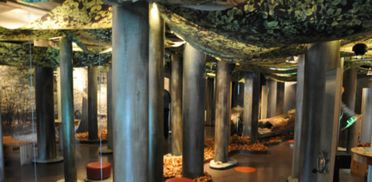 Návštěvnické centrum v přírodním parku Jasmund Expozice v Nationalpark-Zentrum Königsstuhl v přírodním parku Jasmund