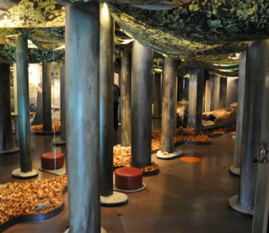 Expozice v Nationalpark-Zentrum Königsstuhl v přírodním parku Jasmund