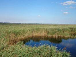 Národní park Neusiedler See - Seewinkel