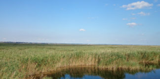 Národní park Neusiedler See – Seewinkel Národní park Neusiedler See - Seewinkel