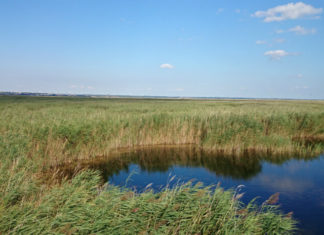 Národní park Neusiedler See – Seewinkel Národní park Neusiedler See - Seewinkel