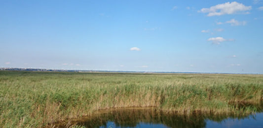 Národní park Neusiedler See – Seewinkel Národní park Neusiedler See - Seewinkel