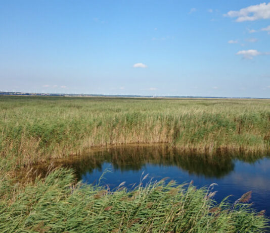 Národní park Neusiedler See – Seewinkel Národní park Neusiedler See - Seewinkel