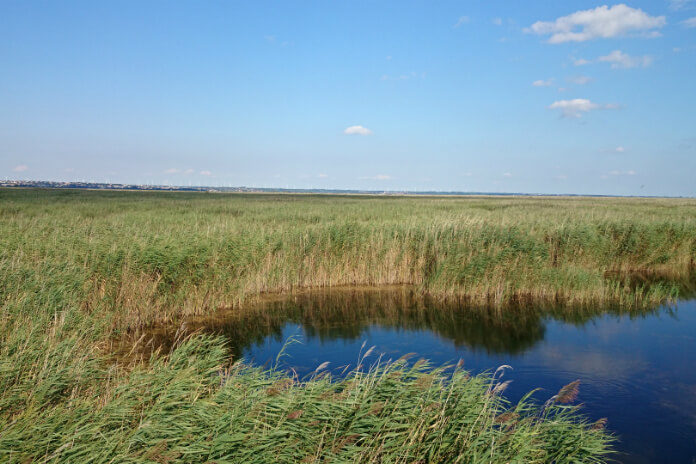 Národní park Neusiedler See - Seewinkel