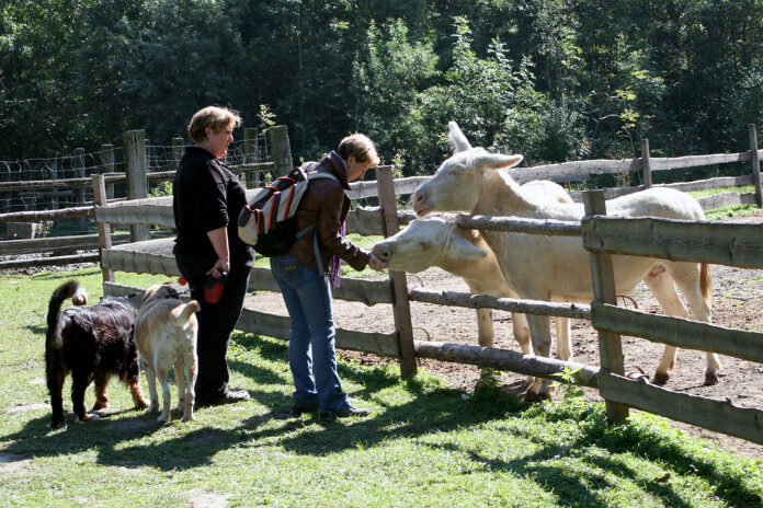 Krmení zvířat ve stepní zoo v Pamhagenu