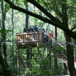 Výběh vlků ve stepní zoo v Pamhagenu