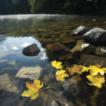 Piburger See Ötztal