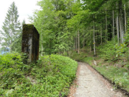 Historická bobová dráha u jezera Riessersee Olympijská bobová dráha u jezera Riessersee