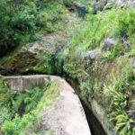 Levada do Furado