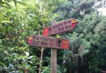 Pěší výlet podél Levada do Furado Levada do Furado