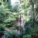 Jardim tropical Monte Palace