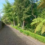 Jardim tropical Monte Palace