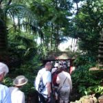 Jardim tropical Monte Palace