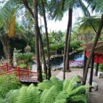 Jardim tropical Monte Palace - orientální zahrada