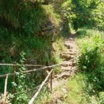 Oslí stezkou na vyhlídku Miradouro da Eira do Serrado