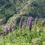 Oslí stezkou na vyhlídku Miradouro da Eira do Serrado