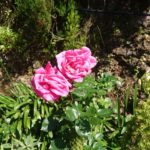 Údolí jeptišek (Curral das Freiras)